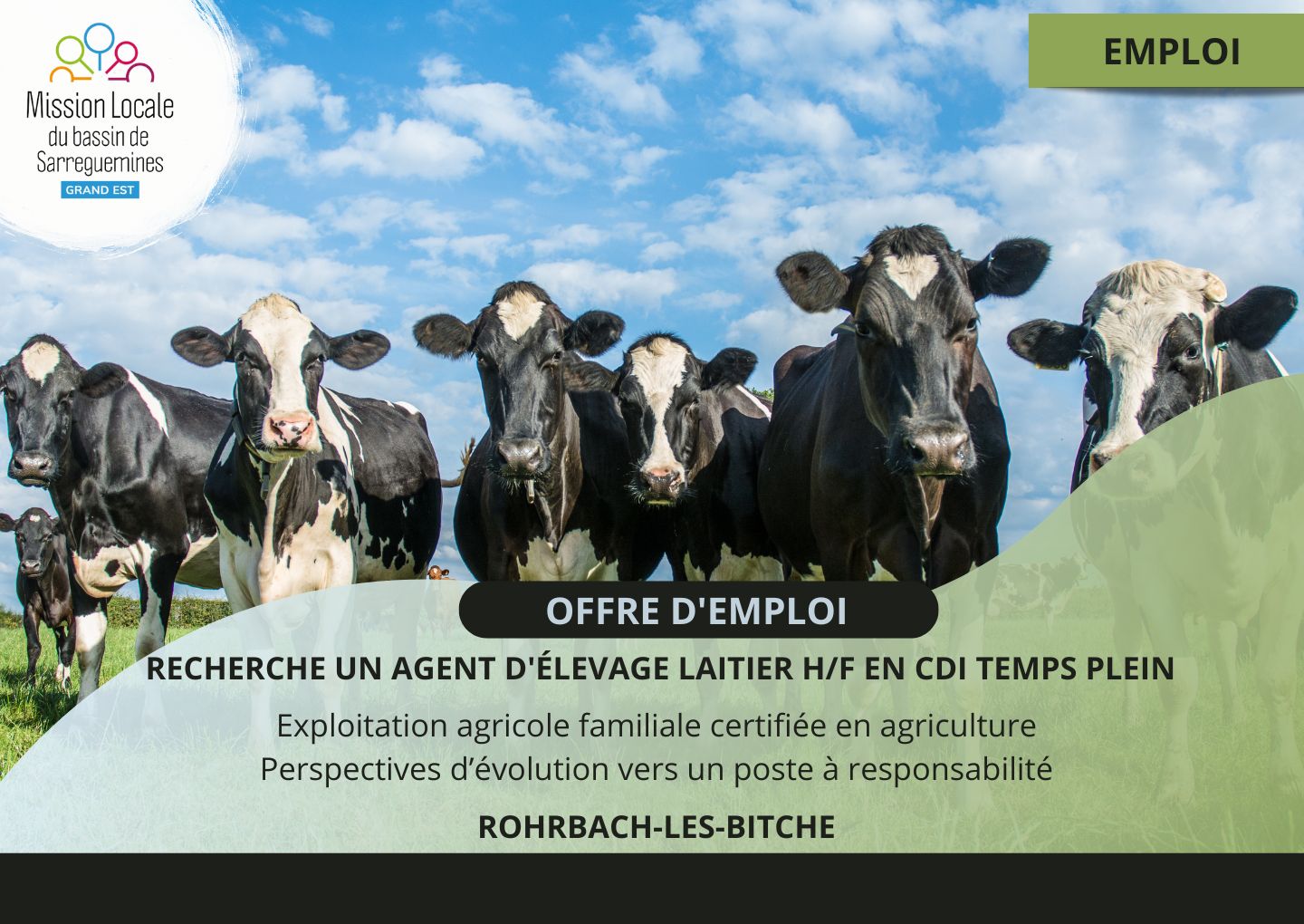 OE - AGENT ELEVAGE LAITIER - CLOTUER 151025
