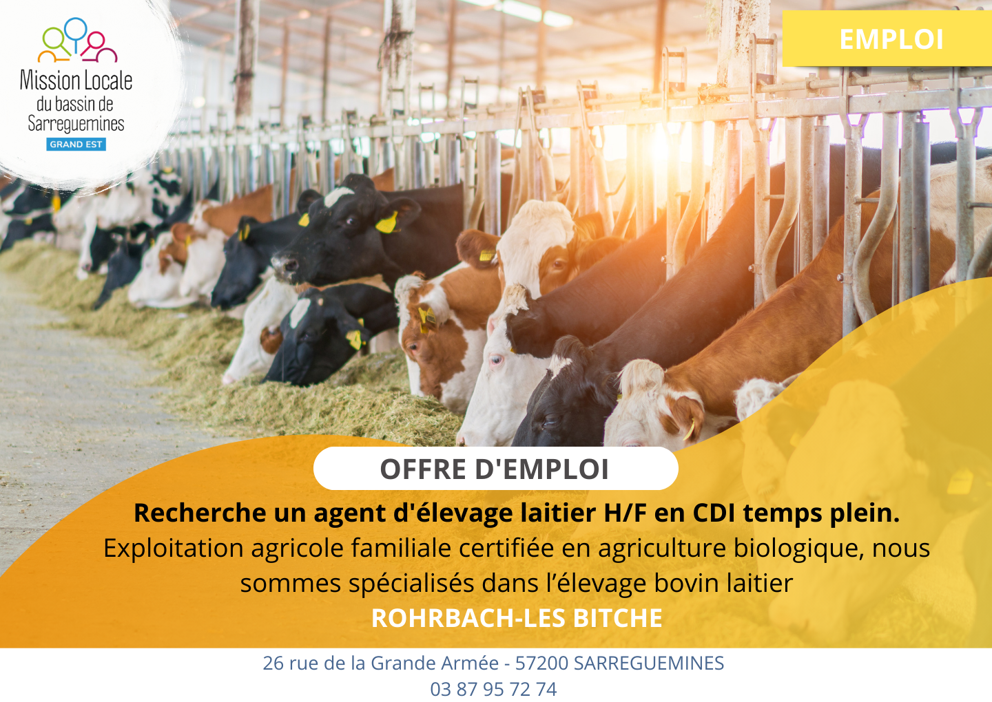 OE - ELEVAGE BOVIN CLOTURE LE 28.02.26